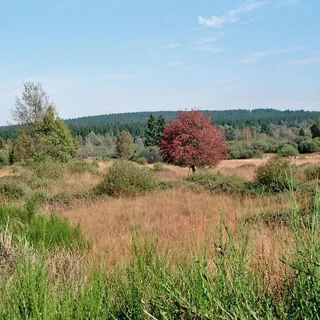Loeftchen